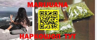гашик Аргун
