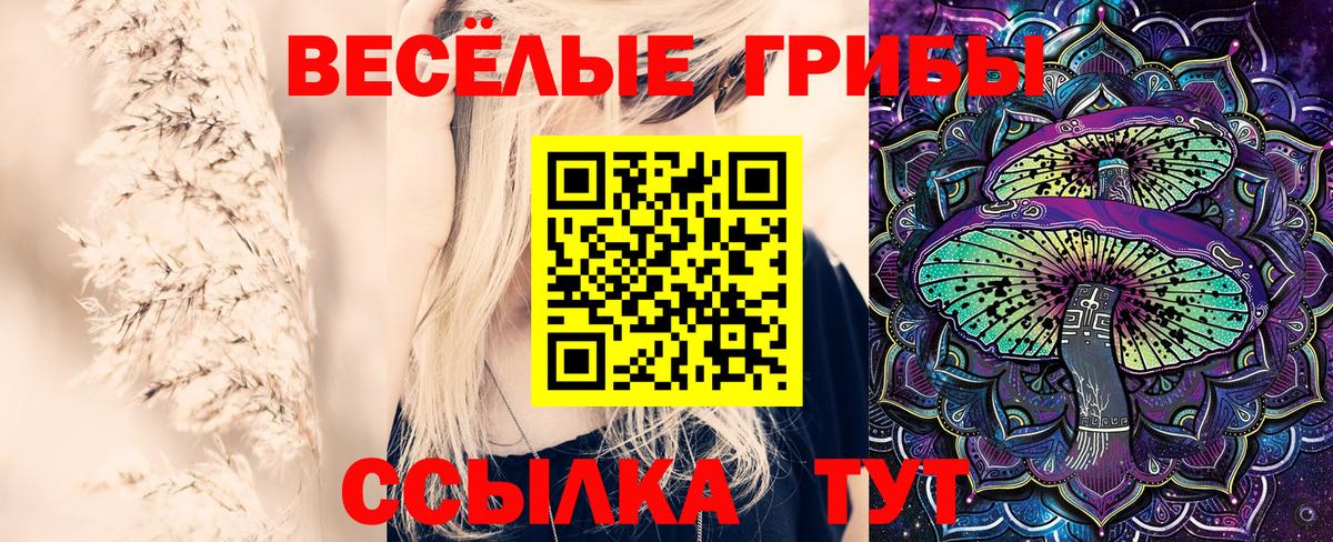 Галлюциногенные грибы MAGIC MUSHROOMS Белгород