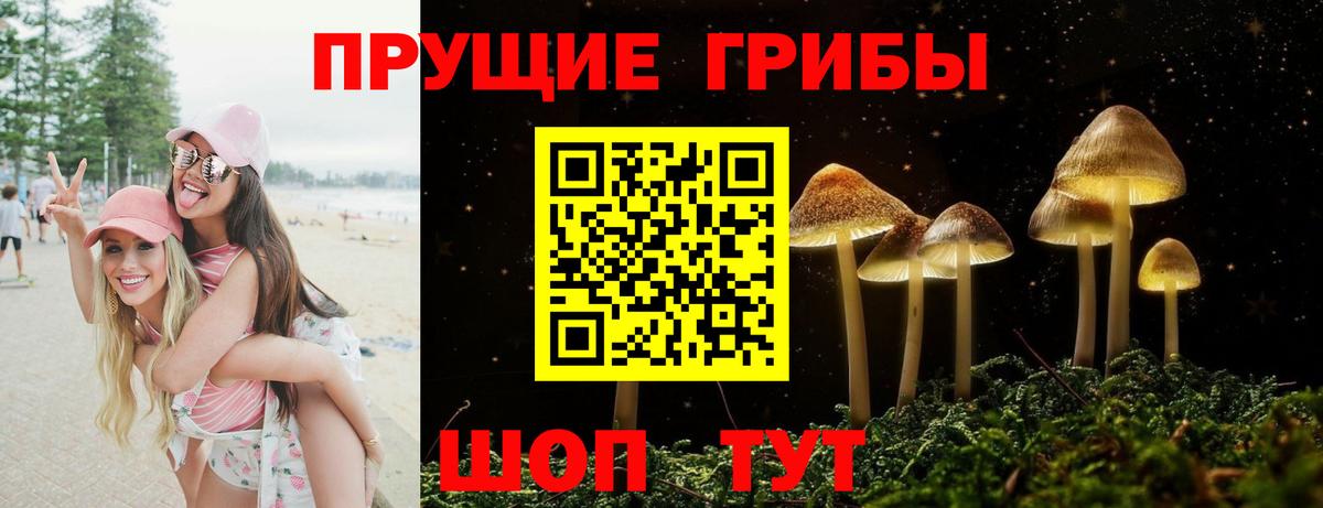 Псилоцибиновые грибы мицелий  хочу наркоту  Белгород  Вход с VPN 